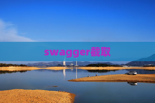 swagger截取